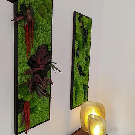 Apartmán Sierra - Northstar