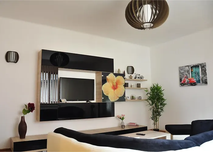 Sierra - Northstar * 브라쇼브